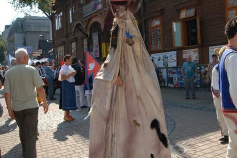 MFFZG, Zakopane 2009_1